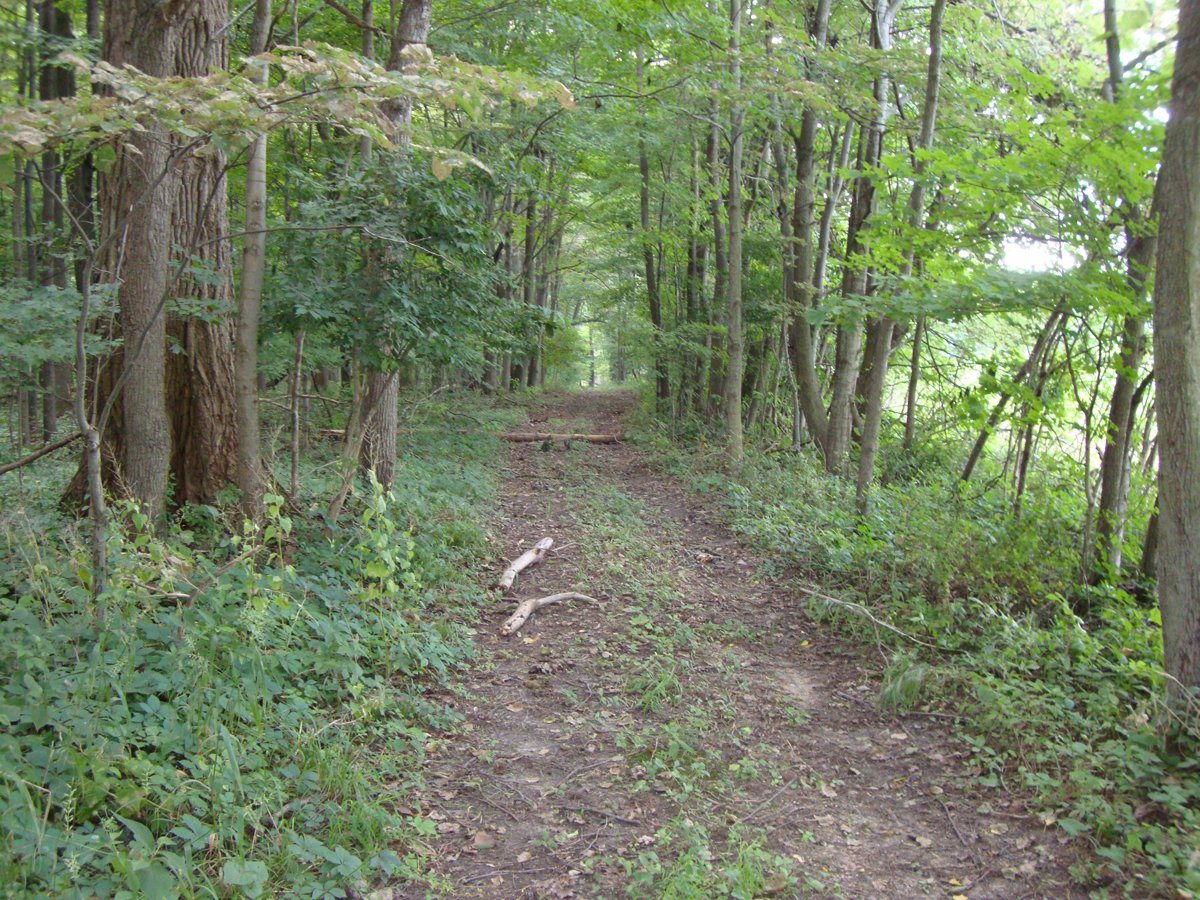 Property photo 14 - 160 Acres Offered in 6 Tracts